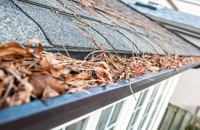 clogged rain gutter